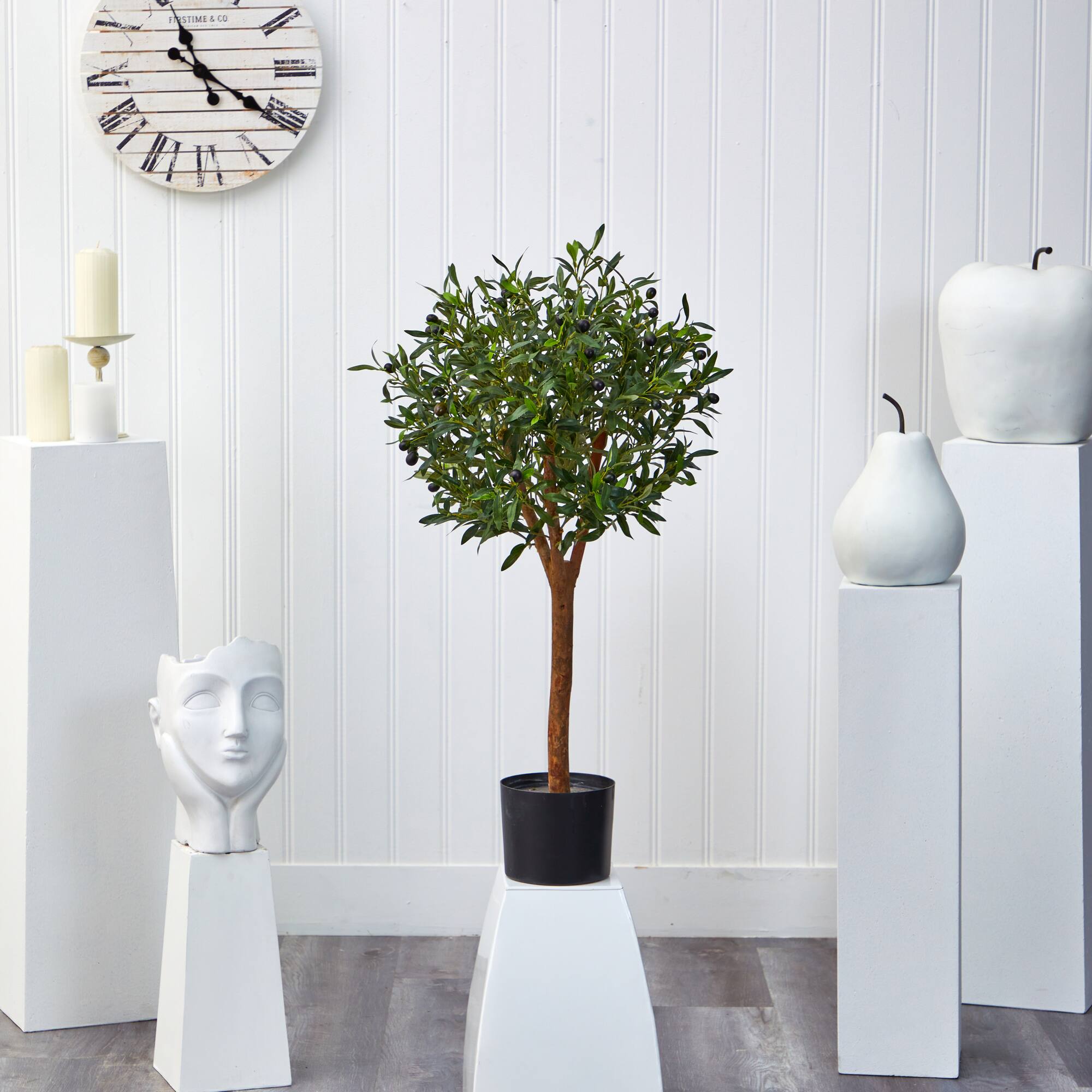 3.5ft. Potted Olive Tree
